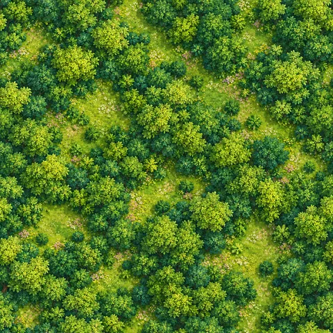 Elven Green World: Ground: distant countryside