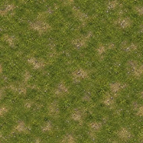 Robotic Future: Ground: grass