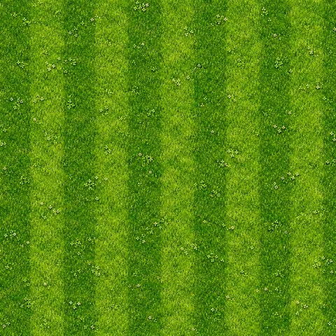 Modern Town: Ground: grass