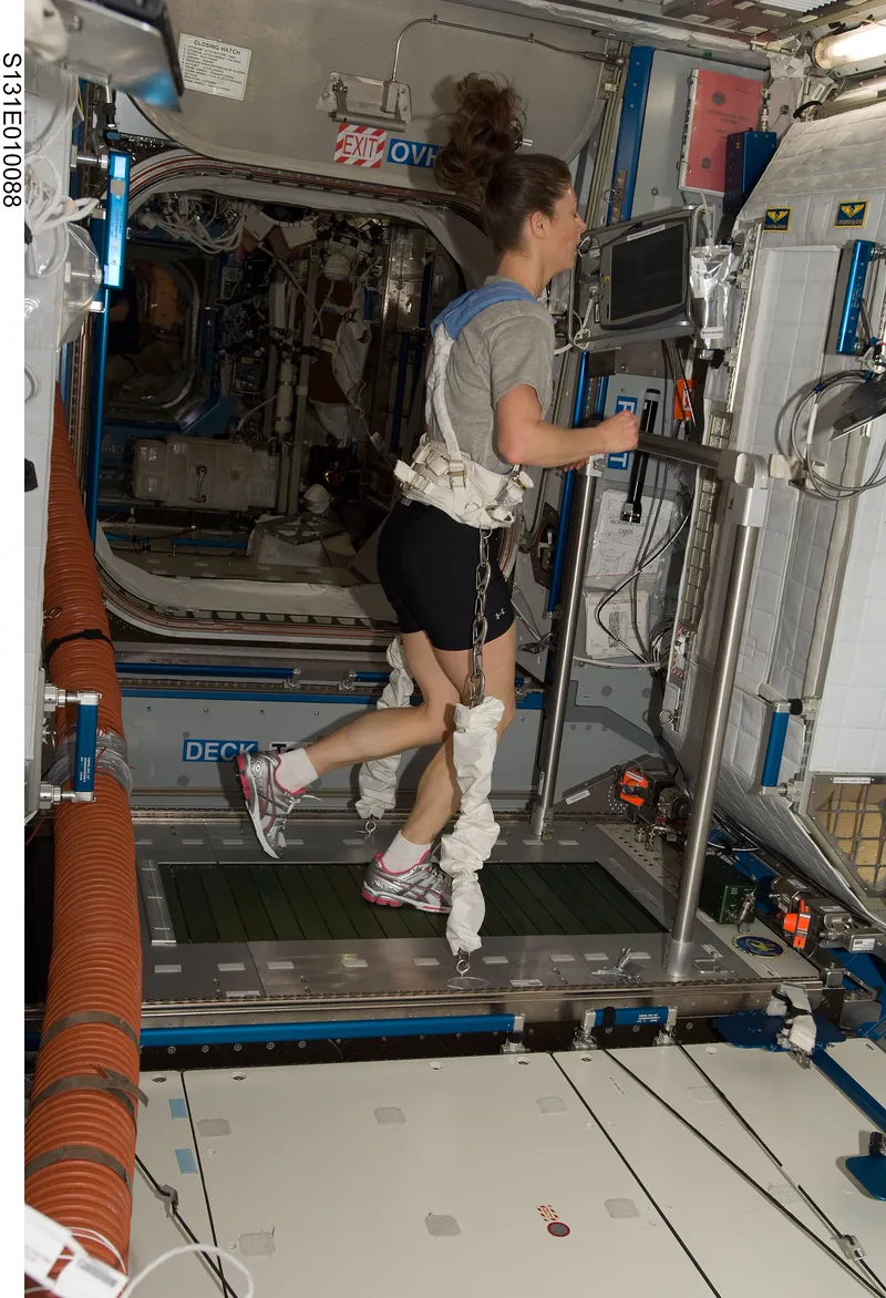 Astronaut Tracy Caldwell Dyson running on the COLBERT treadmill, held down by a harness.
