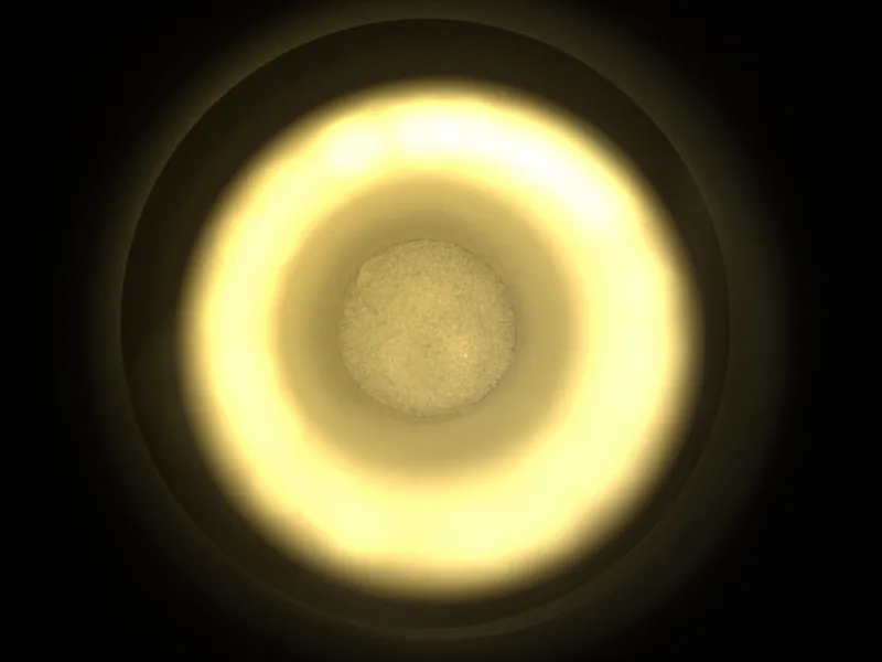 Looking into a sample tube filled with Martian soil collected by the Perseverance rover.