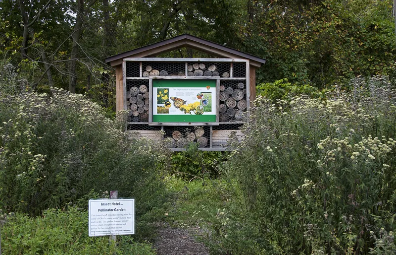 An insect hotel: a shelter with holes and hollow stems where solitary bees can nest.