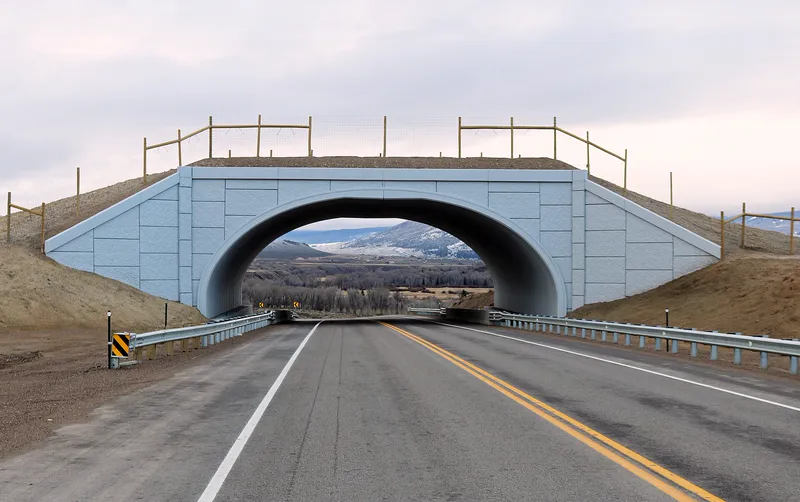 A wildlife overpass across Colorado State Highway 9, planted so animals can cross safely.
