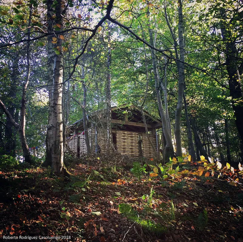 A woodland classroom in Rosewell, Scotland.