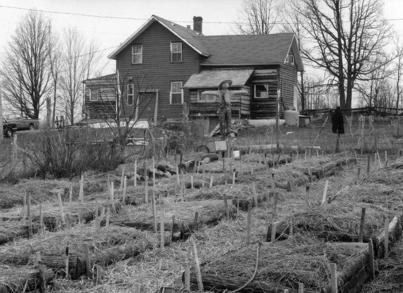 Raised garden beds, which are easier to reach and can be filled with clean soil.