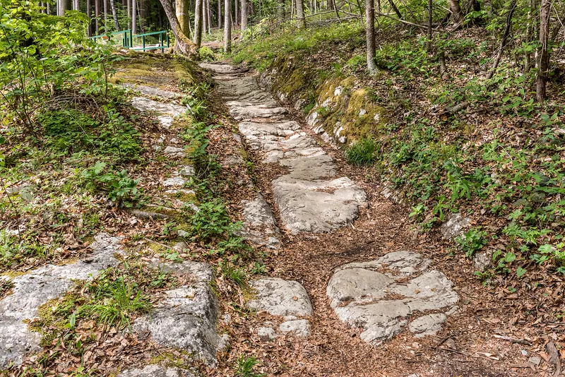 A stretch of old road near Villach, Austria, along the line of a Roman road.