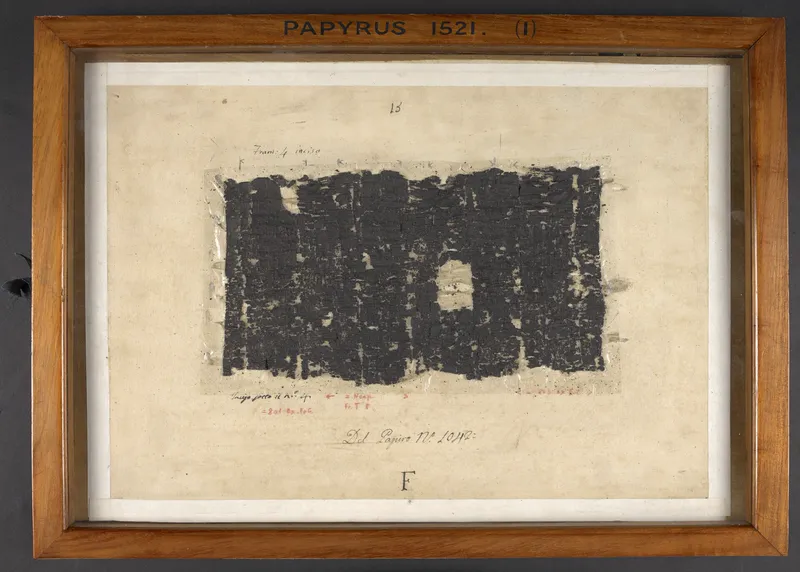 A page from a scroll found in a villa at Herculaneum.